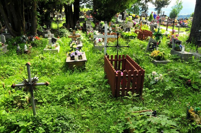 VIV_4661