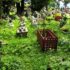 Cemetery