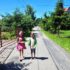 Here [They] Come