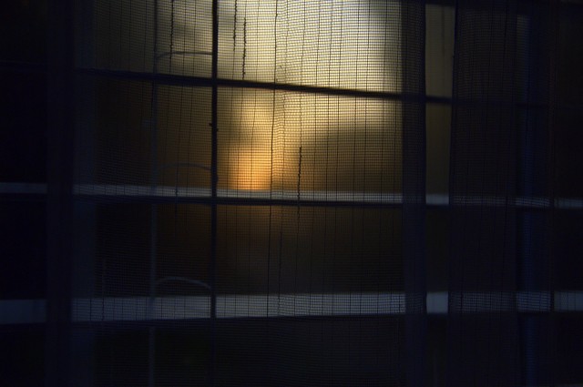DSC_8274