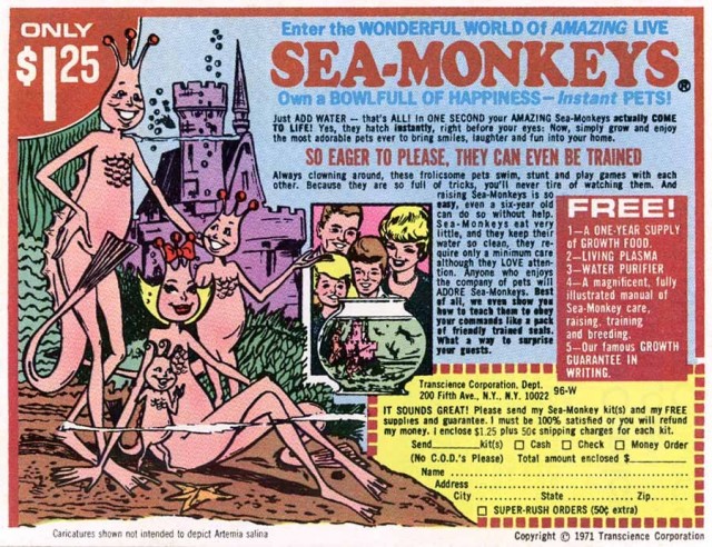 sea-monkeys