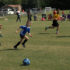 Season Opener 2013