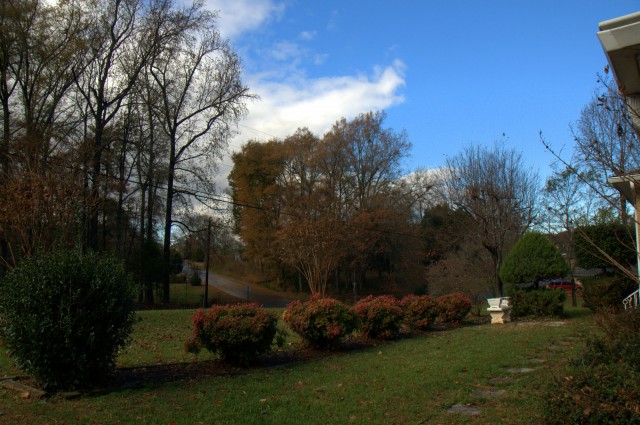 6-VIV_0618