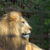 Old Friends, Old Zoo, New Experience