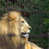 Old Friends, Old Zoo, New Experience