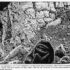 Forty Years Ago in Prophecy
