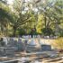 Out and About in Savannah