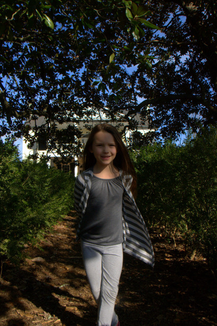 04-VIV_2604
