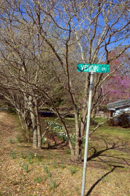 VIV_4253