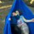 Hammock