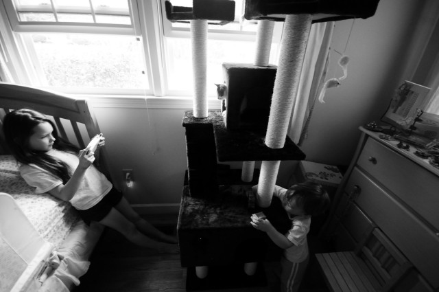 BW0_4892