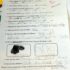Science Test