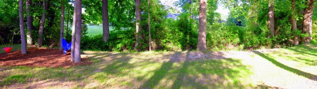 1-DSCF3621