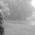 Terrace by Rain