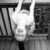 Upside Down Girl