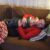 Cuddle