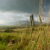 A Walk in the Fields