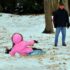 Snowday 2015