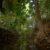 Backyard Exotic