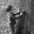Testing