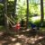 New Swing, Redux