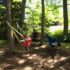 New Swing, Redux