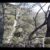 Chimney Rock II