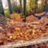 Autumn Sunday