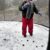 Snow Day 2016