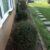 Spring Saturday