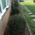Spring Saturday