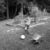 Soccer Practice