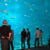 Georgia Aquarium
