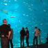Georgia Aquarium