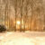 Thoughts on the Seasons