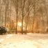 Thoughts on the Seasons