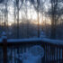 Snow Day, Redux