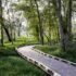 A Known Trail