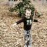 Backyard Play