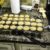 Baking for the Kids