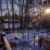 Snow Days 2018: Day 2