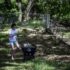 Soccer and the New Garden