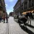 Horse-Drawn