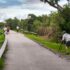 Everglades, Day 1