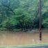 Flood 2018