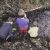 Three Boys, a Creek, and Pain