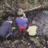 Three Boys, a Creek, and Pain