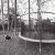 Monday Afternoon with the Kids and Dog Down at the Trampoline