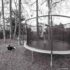 Monday Afternoon with the Kids and Dog Down at the Trampoline