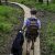 Walking the Dog